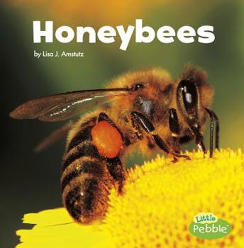 Paperback Honeybees Book