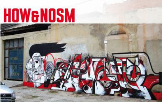 Hardcover How&Nosm: The Brazil Diaries (On The Run Books) Book