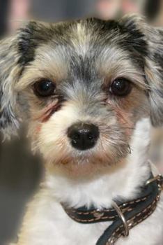 Paperback The Biewer Terrier Dog Journal: 150 page lined notebook/diary Book