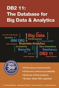 Paperback DB2 11: The Database for Big Data & Analytics Book