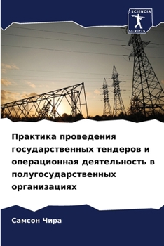 Paperback Практика проведения гос& [Russian] Book