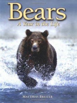 Hardcover Bears: A Year in the Life Book