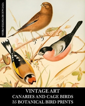 Paperback Vintage Art: Canaries and Cage Birds 35 Botanical Prints: Ephemera for Framing, Decoupage, and Mixed Media Book