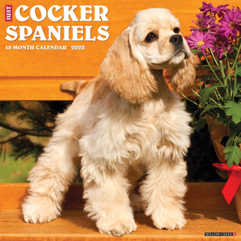 Calendar Just Cocker Spaniels 2022 Wall Calendar (Dog Breed) Book