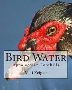 Paperback Bird Water: Appalachian Foothills Book