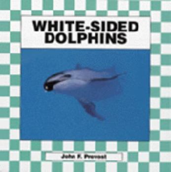 White-Sided Dolphins - Book  of the Dolphins