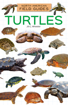 Library Binding Turtles Book