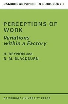 Paperback Perceptions of Work: Variations Within a Factory Book