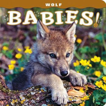 Board book Wolf Babies! Book