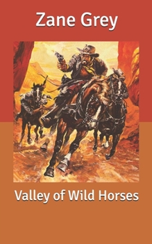 Paperback Valley of Wild Horses Book