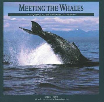 Paperback Meeting the Whales: The Equinox Guide to Giants of the Deep Book