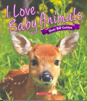 Unknown Binding I Love Baby Animals: Over 50 Cuties Book