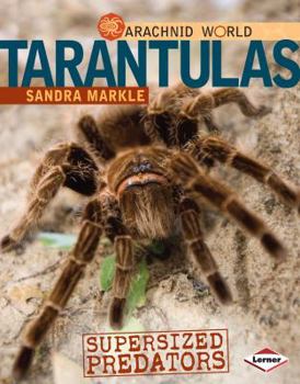 Library Binding Tarantulas: Supersized Predators Book