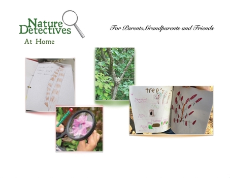 Paperback Nature Detectives at Home Book