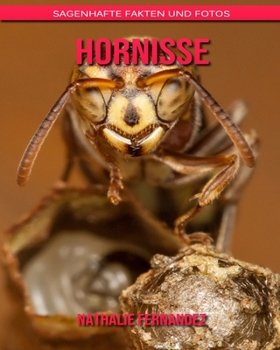 Paperback Hornisse: Sagenhafte Fakten und Fotos [German] Book