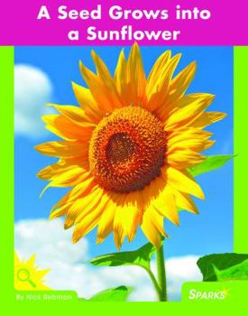 Paperback A Seed Grows Into a Sunflower Book