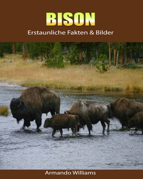 Paperback Bison: Erstaunliche Fakten & Bilder [German] Book