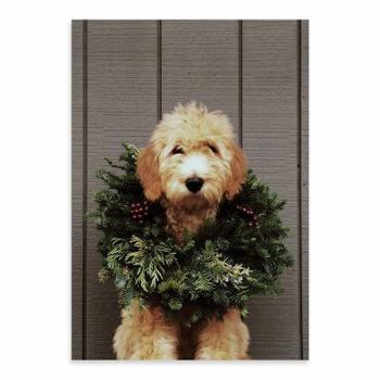 Cards Deck the Paws Holiday Half Notecards Book