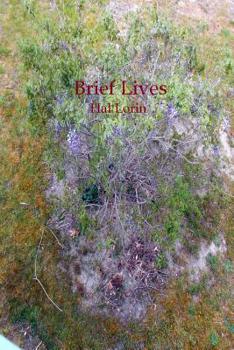 Paperback Brief Lives Book