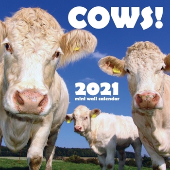 Paperback Cows! 2021 Mini Wall Calendar Book