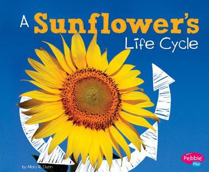 A Sunflower's Life Cycle - Book  of the Explore Life Cycles