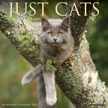 Calendar Just Cats 2022 Wall Calendar Book