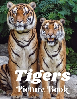 Tigers Picture Book: Picture Book for Alzheimer's Patients and Seniors with Dementia (Gift Book) Giant Cat Predator Animal Safari Feline Gifts with ... Adults Men Women Kids Photo Book of Tigers