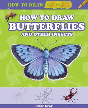 Library Binding How to Draw Butterflies and Other Insects Book