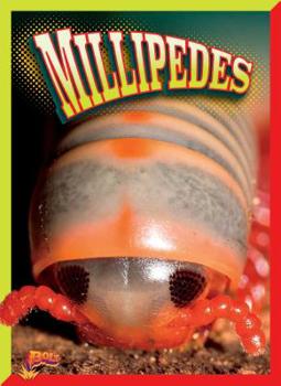 Paperback Millipedes Book