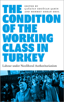Paperback The Condition of the Working Class in Turkey: Labour Under Neoliberal Authoritarianism Book
