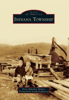 Paperback Indiana Township Book