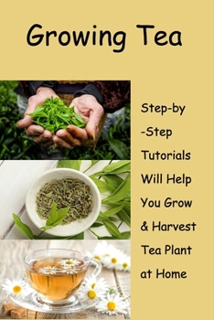 Paperback Growing Tea: Step-by-Step Tutorials Will Help You Grow & Harvest Tea Plant at Home: Growing The Own Tea Plant Book