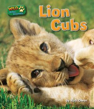 Lion Cubs - Book  of the Wild Baby Animals