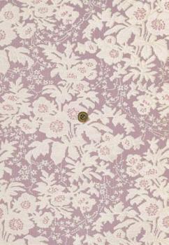 Tender Omnibus: The First Twenty-Five Years of Tender Buttons Press