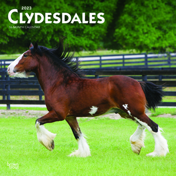 Calendar Clydesdales 2023 Square Book