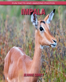Impala: Fun Facts and Amazing Photos