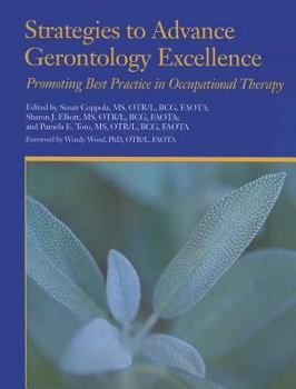 Paperback Strategies to Advance Gerontology Excellence; Promoting Best Practicve in Occupational Therapy Book