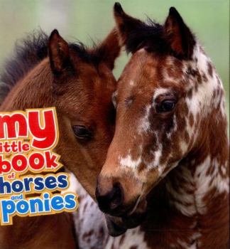 Hardcover My Little Book of Horses and Ponies Book