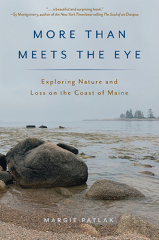 Paperback More Than Meets the Eye: Exploring Nature and Loss on the Coast of Maine Book