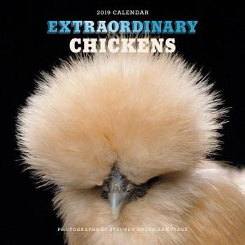 Calendar Extraordinary Chickens 2019 Wall Calendar Book