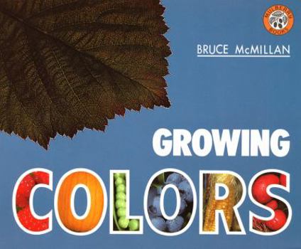 Paperback Growing Colors Book