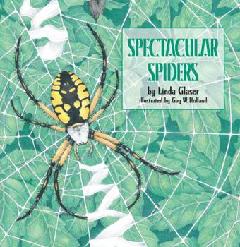 Paperback Spectacular Spiders Book