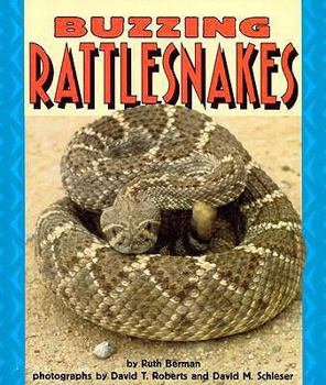 Buzzing Rattlesnakes