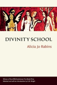 Paperback Divinity School Book