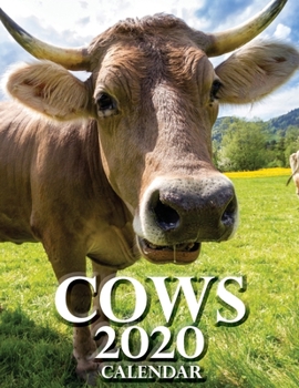 Paperback Cows 2020 Calendar Book
