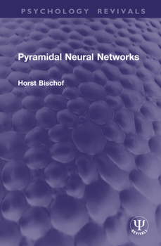 Hardcover Pyramidal Neural Networks Book