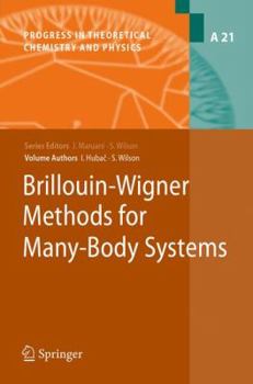 Hardcover Brillouin-Wigner Methods for Many-Body Systems Book