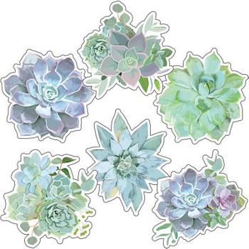 Misc. Supplies Succulents Cut-Outs Book