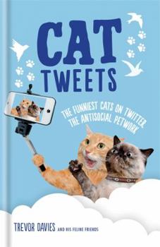 Paperback Cat Tweets Book