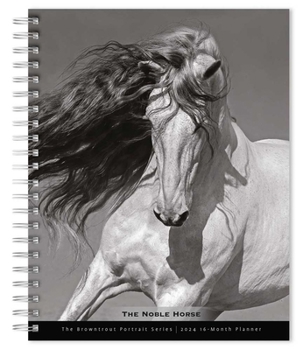 Calendar Horse, the Noble, the Browntrout Portrait Series 2024 Engagement Book